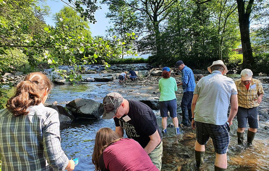 sieben erwachsene stehen bei sonnenwetter in einem flachen flussbett und schauen ins Wasser
